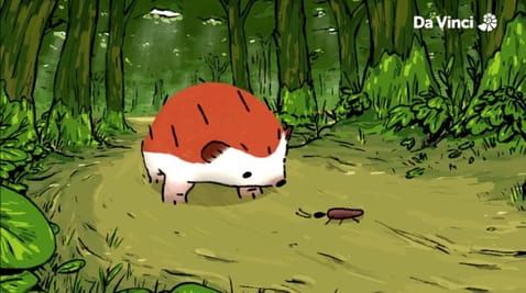 3. Hedgehogs