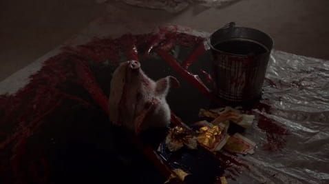 18 Episode