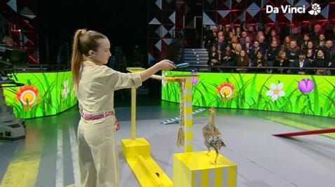 25. Zoe Tomas Creole: Bird Trainer Superstar