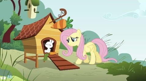 7 Episode