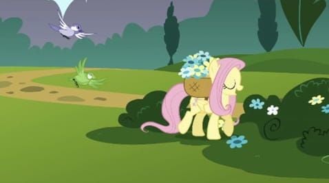 10 Episode