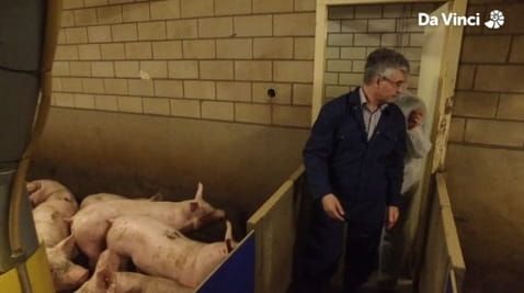 16. Smart Animal Farm