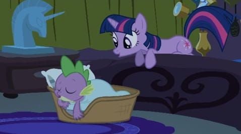11 Episode