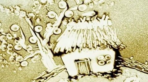 1. How animals hibernate in the winter