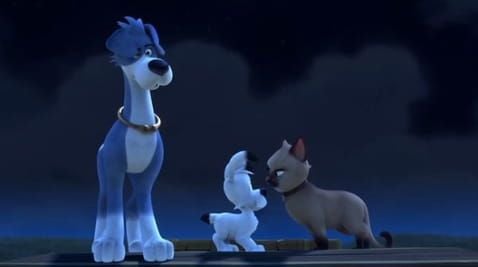 11 Episode
