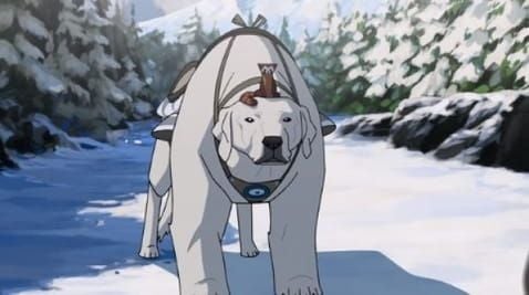 12 Episode