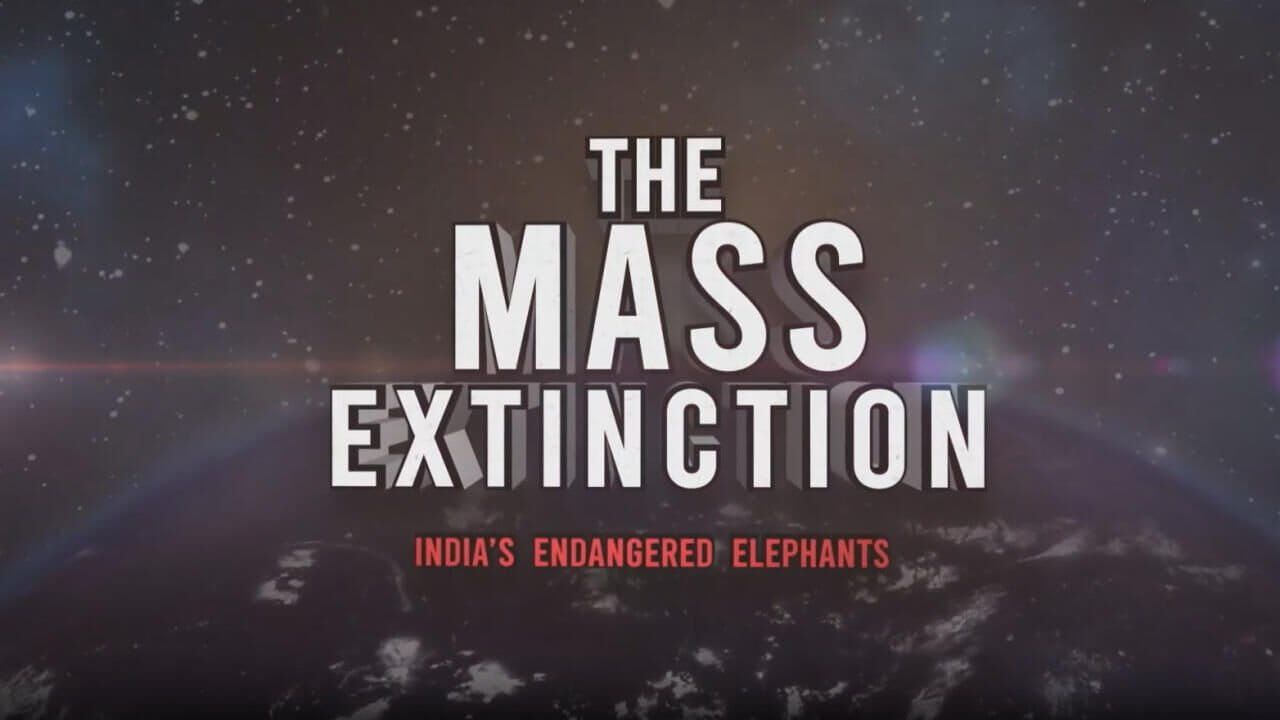 The mass extinction