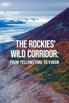The Rockies' Wild Corridor: From Yellowstone To Yukon