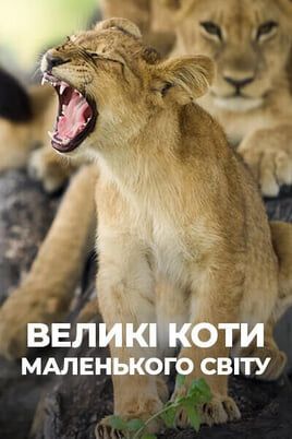 Великі коти маленького світу