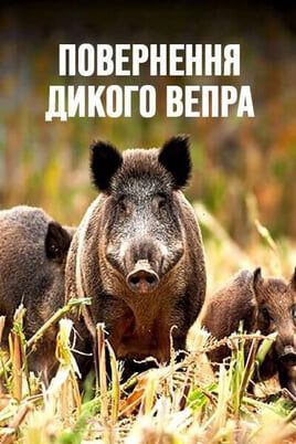 Повернення дикого вепра