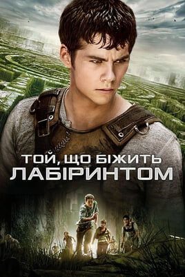 The Maze Runner