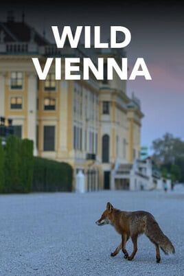Wild Vienna