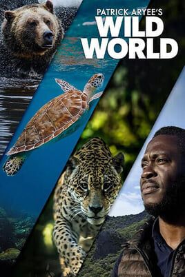Patrick Aryee's Wild World