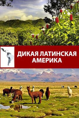 Дикая Латинская Америка