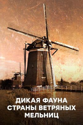 Дикая фауна страны ветряных мельниц