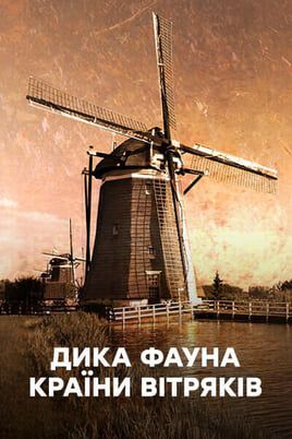 Дика фауна країни вітряків