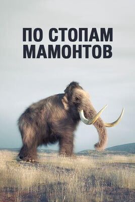 По стопам мамонтов