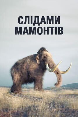 In the Footsteps of the Giant Mammoth