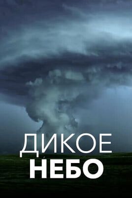 Дикое небо