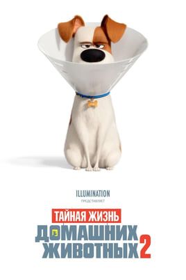 Тайная жизнь домашних животных 2