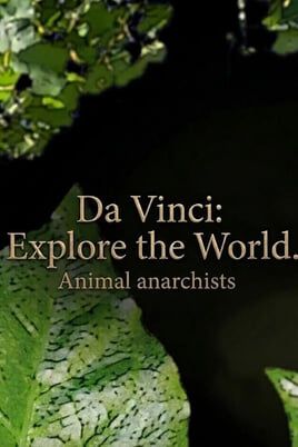 Da Vinci: Explore the World. Animal anarchists