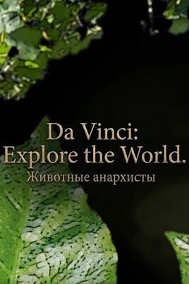 Da Vinci: Explore the World. Животные анархисты