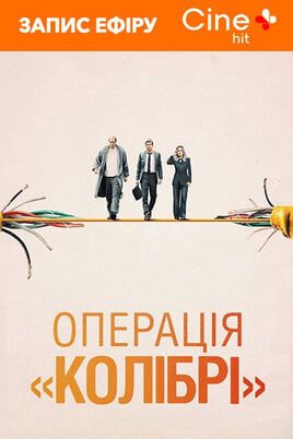 The Hummingbird Project