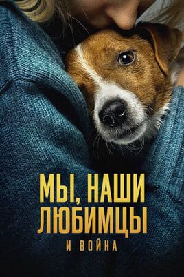 Мы, наши любимцы и война