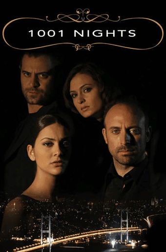Bibliotecă de filme și seriale 27