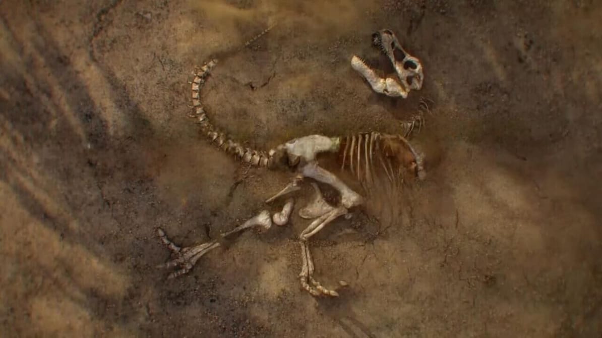 Lost Beasts: Unearthed