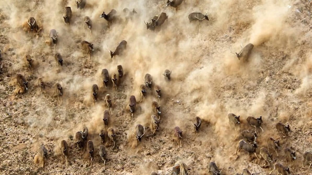 China's Wild Secrets