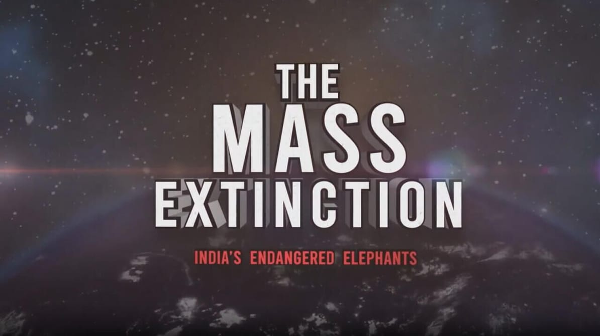 The mass extinction