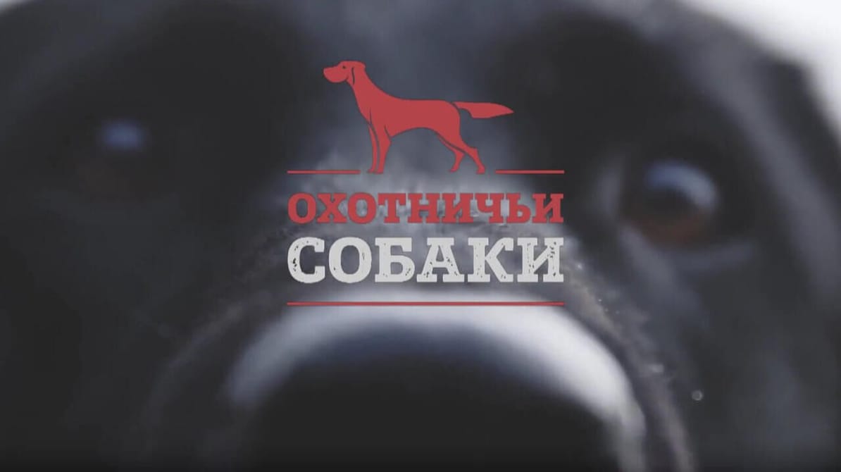 Трофей Premium. Охотничьи собаки