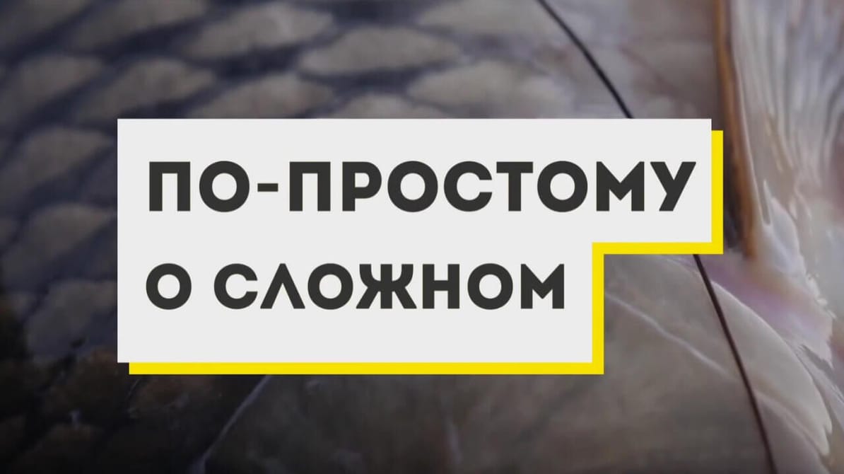 Трофей Premium. По простому о сложном