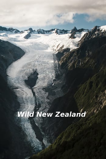 Wild New Zealand