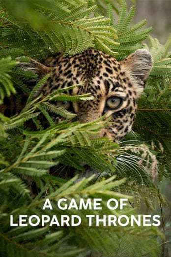 A Game of Leopard Thrones