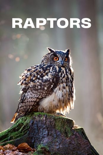 Raptors