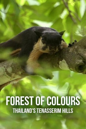 Forest of Colours: Thailand's Tenasserim Hills