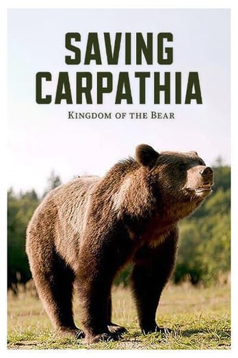 Saving Carpatia, Kingdom of the Bear