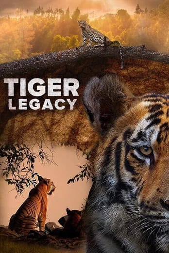 Tiger Legacy