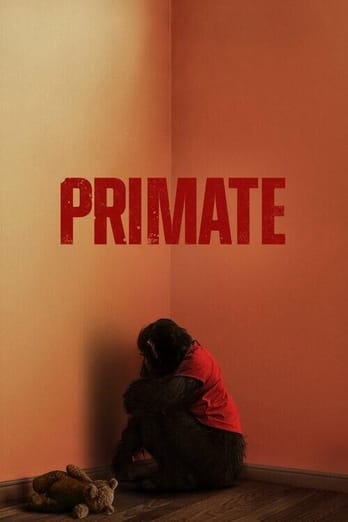 Primát