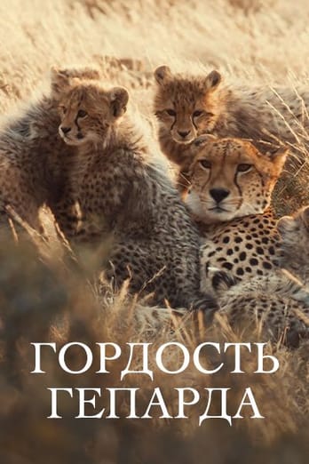 Гордость гепарда
