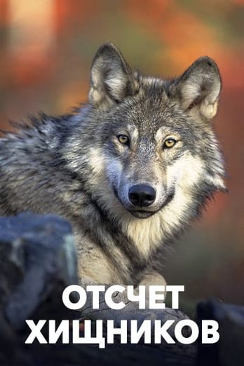 Отсчет хищников