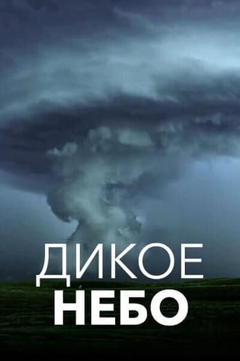 Дикое небо