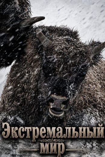 Экстремальный мир