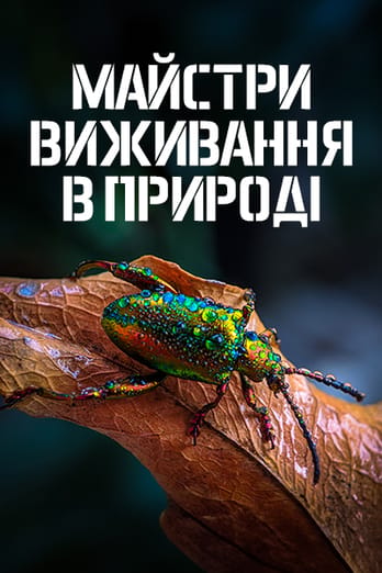 Майстри виживання в природі