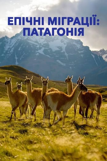 Епічні міграції: Патагонія