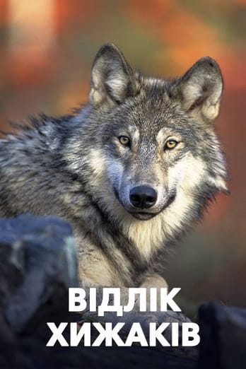 Відлік хижаків