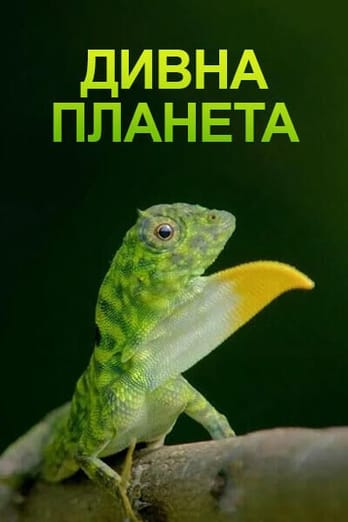 Дивна планета
