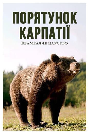 Порятунок Карпатії: ведмедяче царство